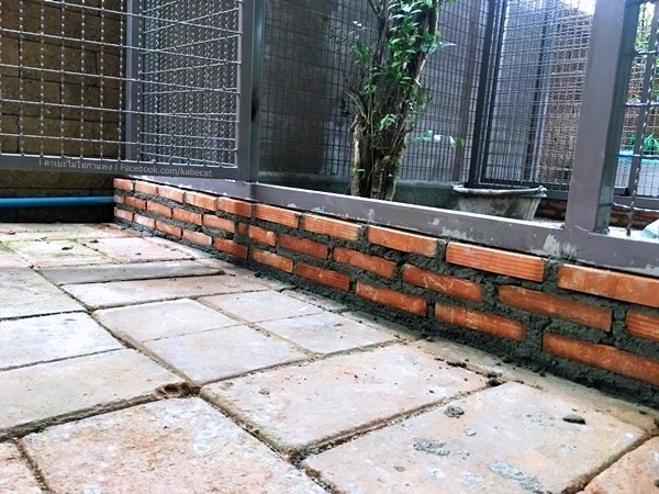 บ้านแมว บ้านแมว