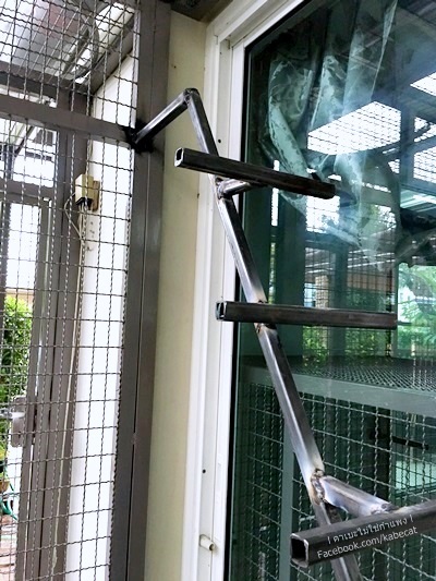 กรงแมว กรงแมว