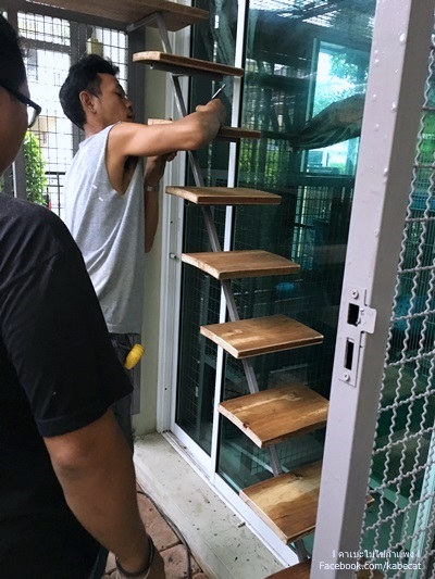 ไอเดียสร้างบ้านแมว ไอเดียสร้างบ้านแมว