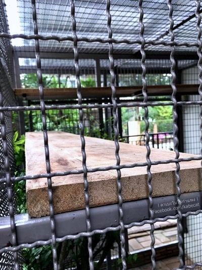 บ้านแมว บ้านแมว