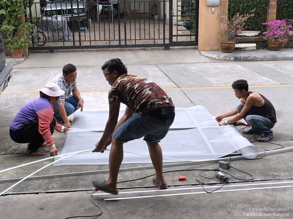 สร้างกรงแมวข้างบ้าน สร้างกรงแมวข้างบ้าน