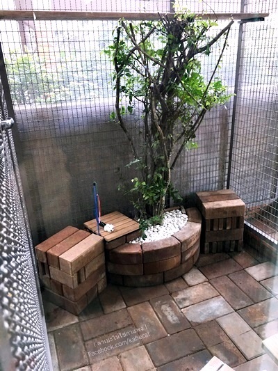 กรงแมว กรงแมว