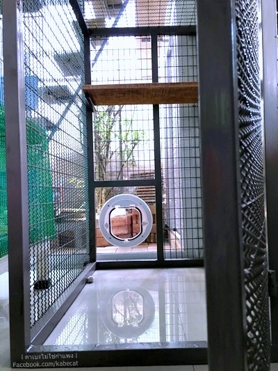 กรงแมง กรงแมว