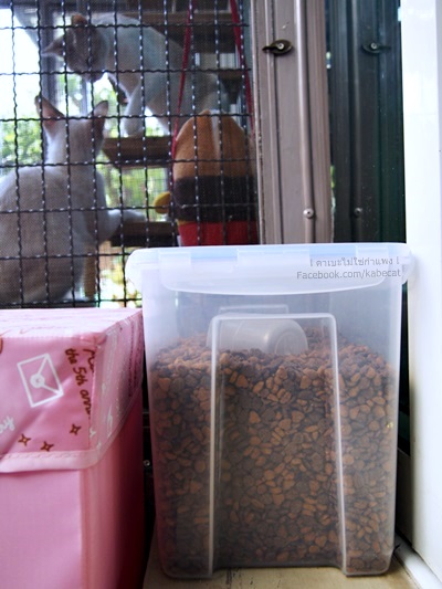 กรงแมว กรงแมว