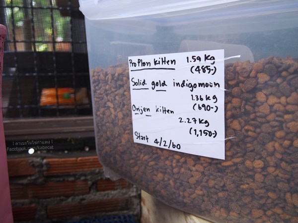 บ้านแมว บ้านแมว