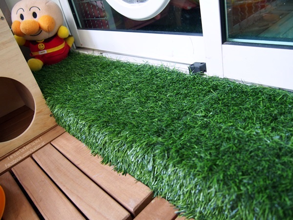 บ้านแมว บ้านแมว