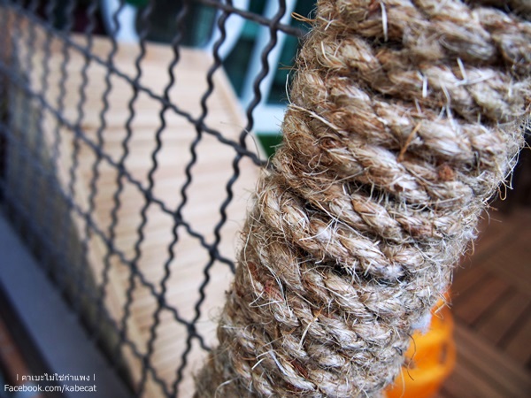 บ้านแว บ้านแมว