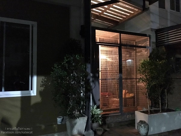 บ้านแมวง บ้านแมว