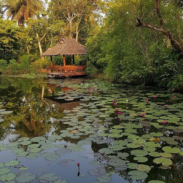 ไอเดียการจัดสวน ไอเดียการจัดสวน