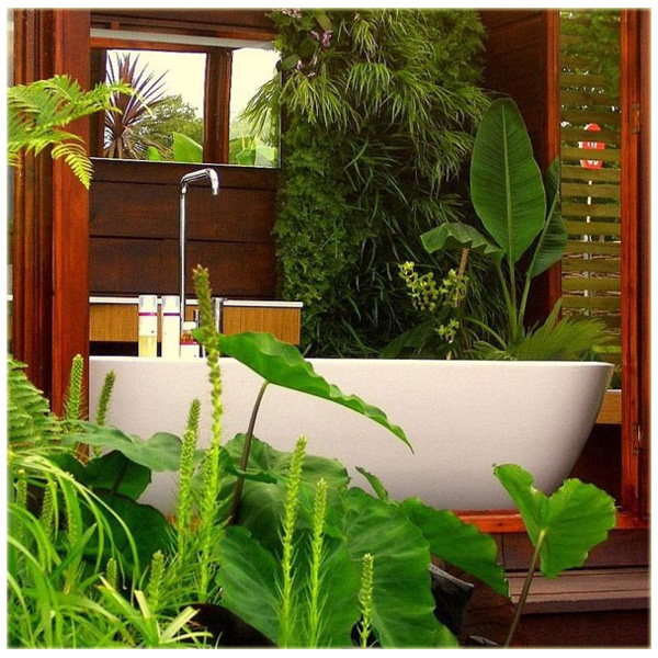 ห้องน้ำ สวน การจัดสวน การตกแต่งห้องน้ำ ห้องน้ำในสวน ต้นไม้ ห้องน้ำ สวน การจัดสวน การตกแต่งห้องน้ำ ห้องน้ำในสวน ต้นไม้