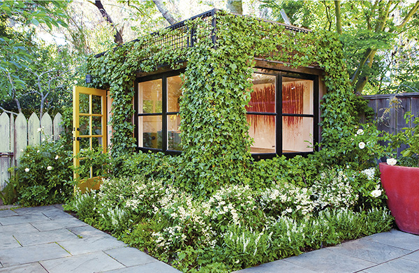 แต่งสวยด้วยไม้เลื้อย