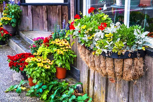 สีสันกับการจัดสวน