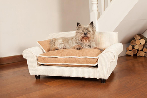 เตียงนอนน้องหมาสุดสวย