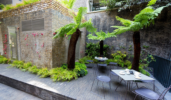 สวนสวยด้วยเฟิร์น