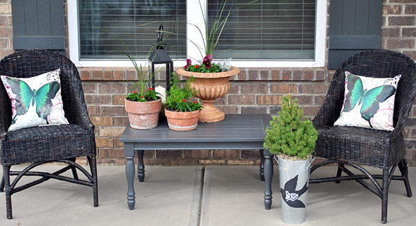 จัดสวนสวย ด้วยกระถาง