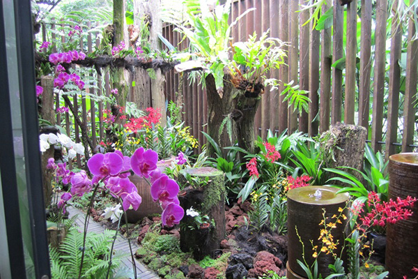 จัดสวนสวย ด้วยกล้วยไม้